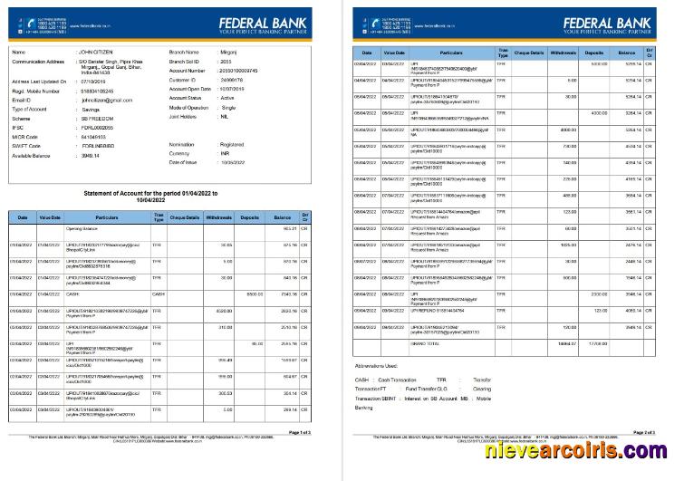 India Federal bank account statement 3 pages